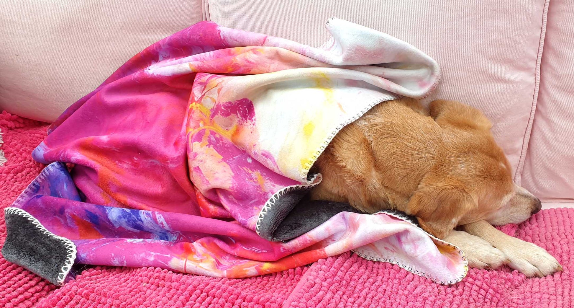 Kleine süße Hündin schläft eingekuschelt in eine pinkfarbene Kuscheldecke auf einem rosa Sofa